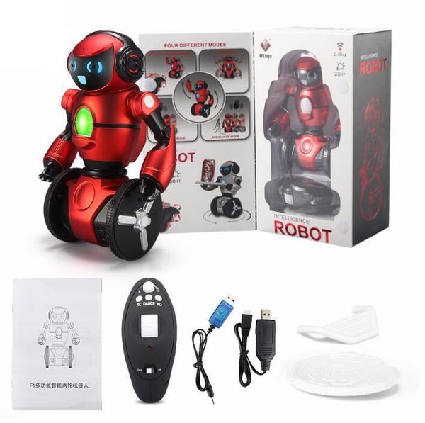 Smart Balancing Robot