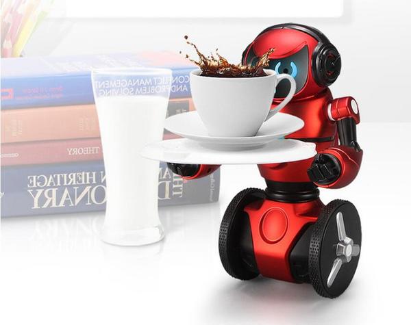 Smart Balancing Robot